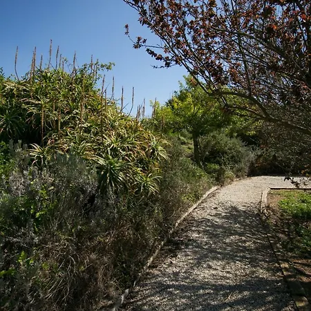 Quinta Da Escudeira بيت للعطل بالميلا