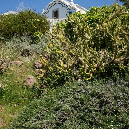 Quinta Da Escudeira بيت للعطل بالميلا